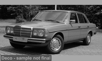 Mercedes 200 (W123) grün